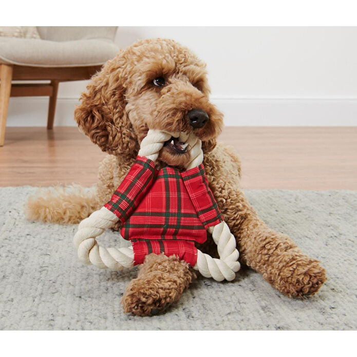 Tchibo Köpekler İçin İp Oyuncak, Geri Dön. Pes