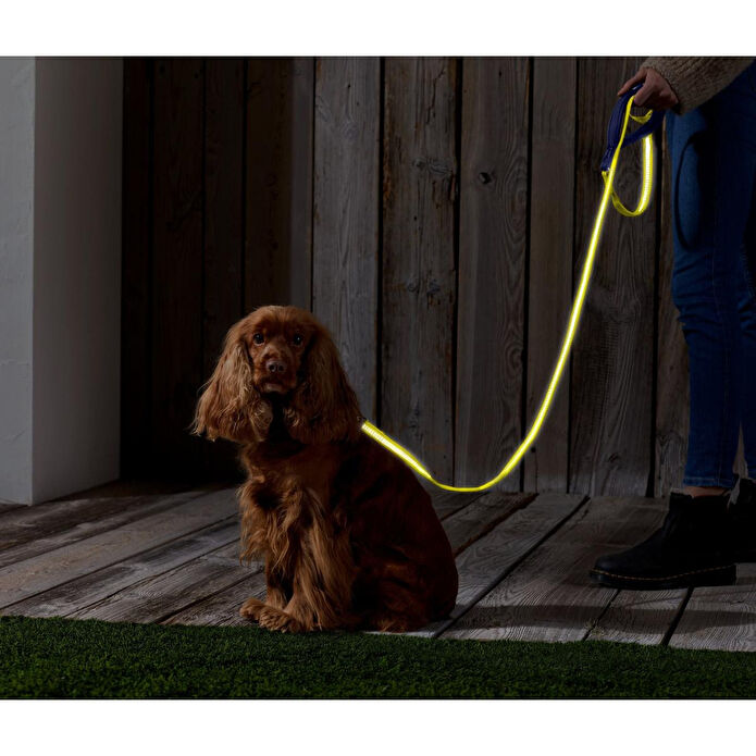 Tchibo Köpek Tasması, Reflektörlü