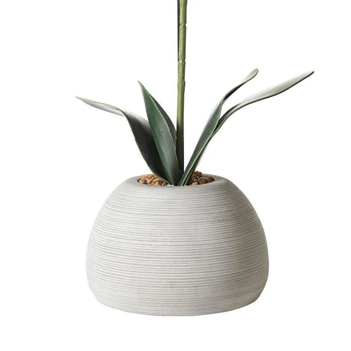 Mudo Home Riva Saksili Orki̇de 53 Cm