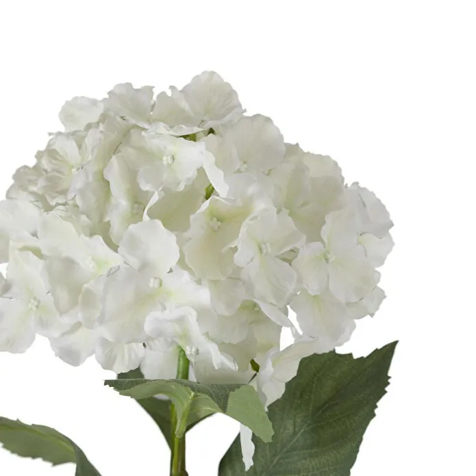 Mudo Home Single Ortanca Çi̇çek Beyaz 54cm