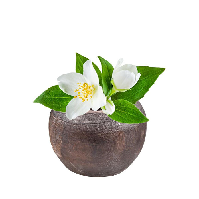 Bambum Chalia Mini Saksı Otantik Eskitme Efektli Doğal Oyma Pavlonya Ağaç Saksı Bahex B1635