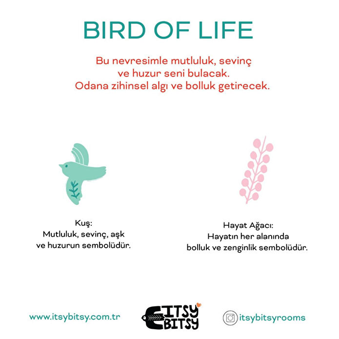 Itsy Bitsy Kids Bird Of Life Tek Kişilik Çarşaf Seti, Mint Yeşili, 90x190cm