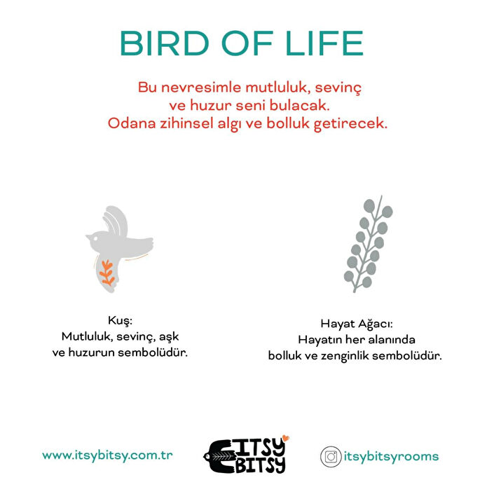Itsy Bitsy Kids Birds Of Life Aplik Başlığı, Gri, 13.5x16cm