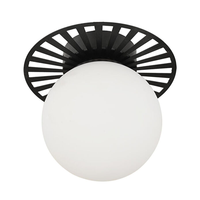 Apliqa Rakes Siyah Modern Plafonyer Genç Odası Mutfak Yatak Odası Avize