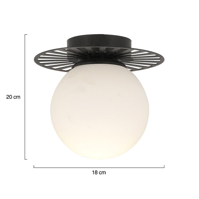 Apliqa Rakes Siyah Modern Plafonyer Genç Odası Mutfak Yatak Odası Avize