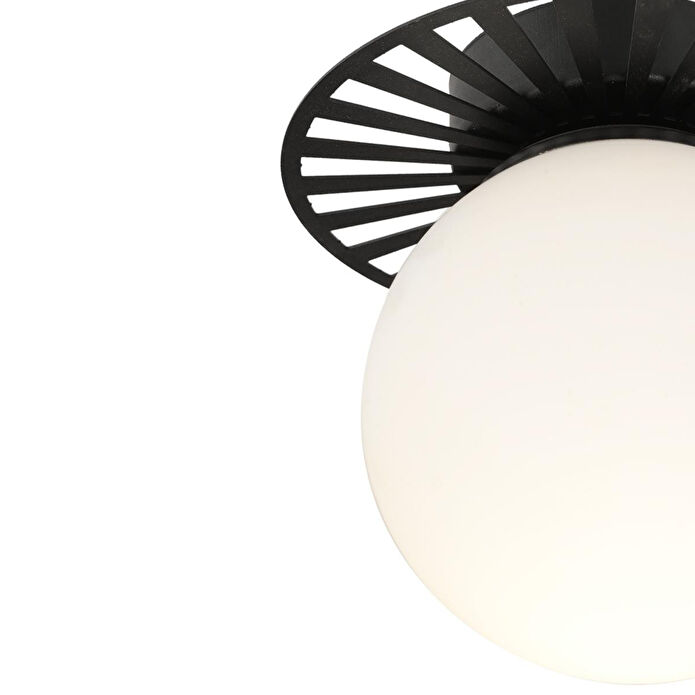 Apliqa Rakes Siyah Modern Plafonyer Genç Odası Mutfak Yatak Odası Avize