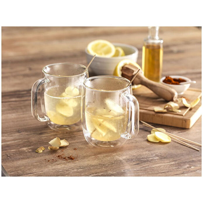 Zwilling Çift Camlı Kulplu 2'li Kahve Bardağı Seti - 355 Ml