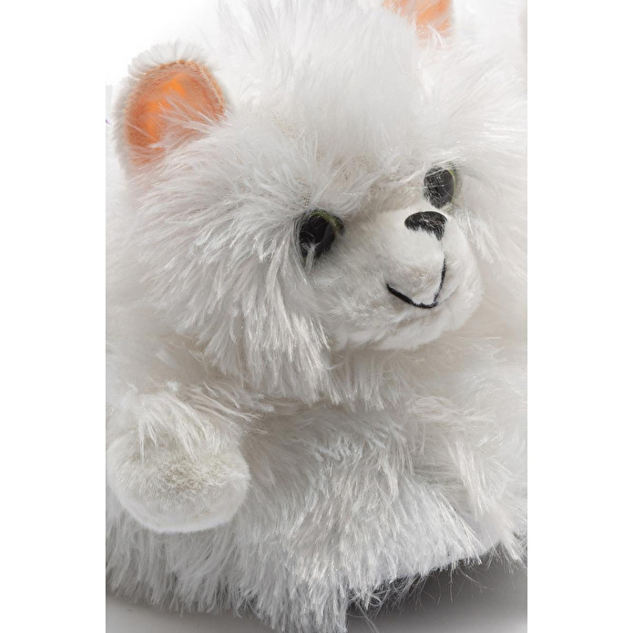 Twigy Kedi-3 Kadın Hayvanlı Panduf Beyaz 36/41