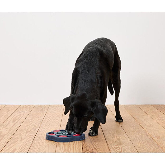 Tchibo Köpek İçin Akıl Oyunu