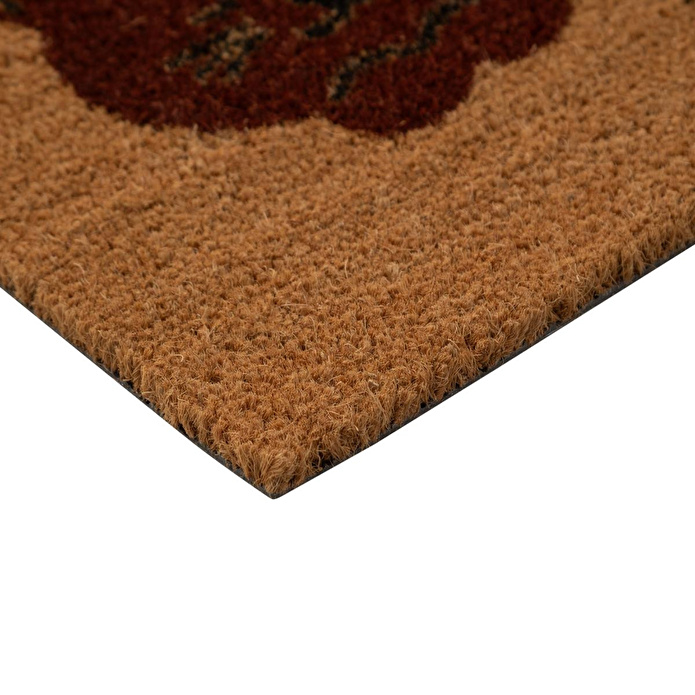 Mudo Home Dreamy Cat Kapi Paspasi 40x60