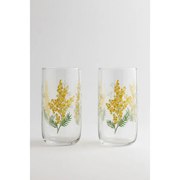 Rakle Mimosa 4'lü Meşrubat Bardağı seti 365 cc