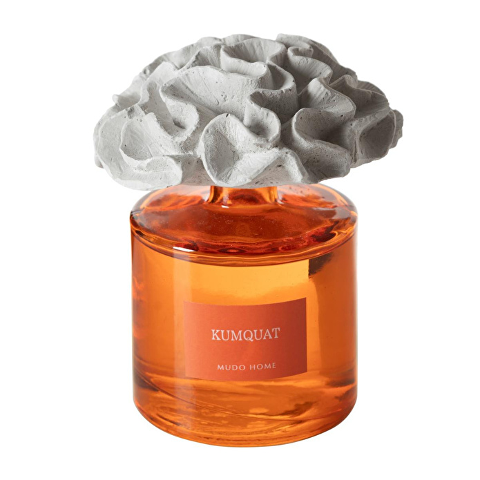 Mudo Home Taş Mercan Kumquat Oda Kokusu 500ml