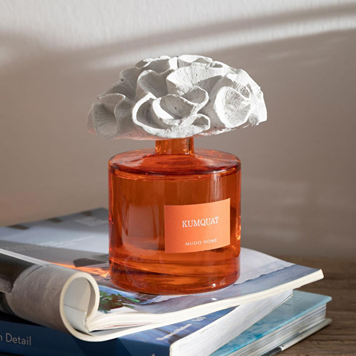 Mudo Home Taş Mercan Kumquat Oda Kokusu 500ml