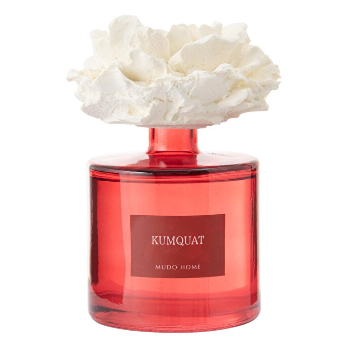 Mudo Home Taş Gül Oda Kokusu Kumquat 500ml