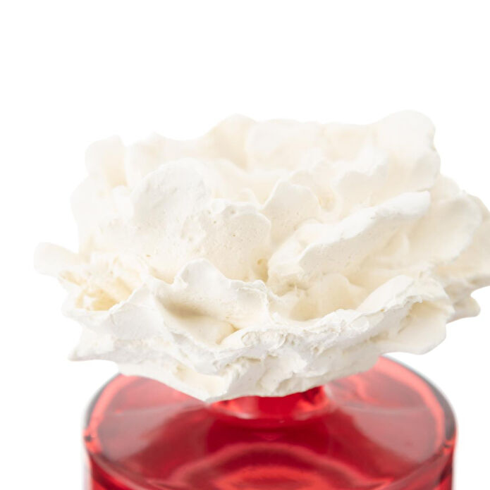 Mudo Home Taş Gül Oda Kokusu Kumquat 500ml