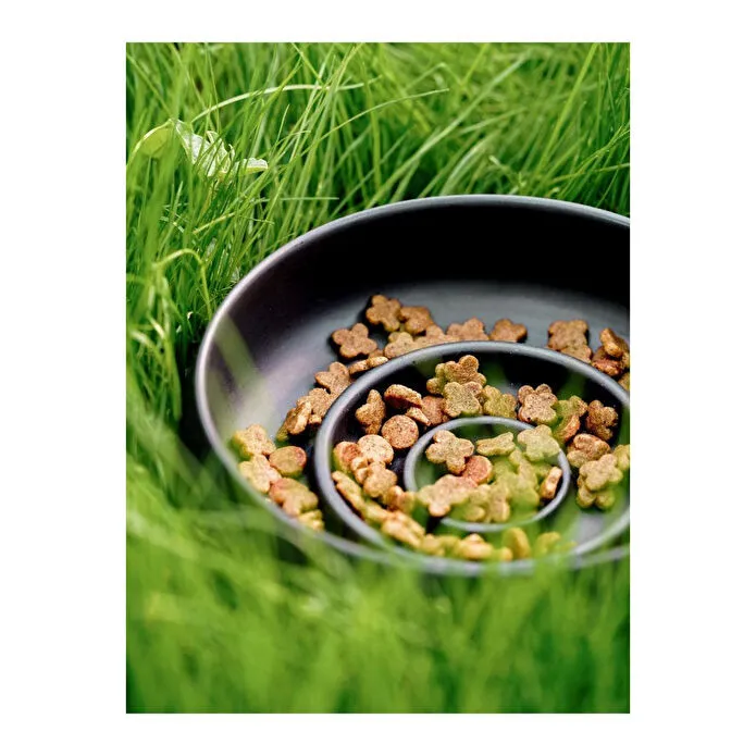 Beige & Stone Slow Eat Yavaş Yeme Seramik Mama Kasesi L Siyah