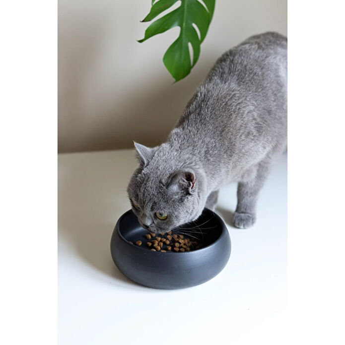 Beige & Stone Slow Eat Yavaş Yeme Siyah Seramik Mama Kasesi (s)