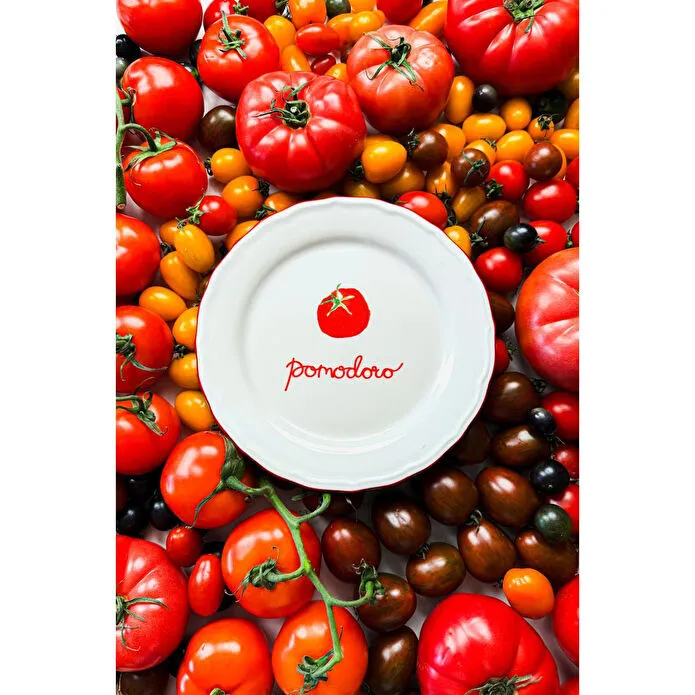 Rakle Pomodoro Stoneware 4'lü Meze Tabağı Seti 21 Cm