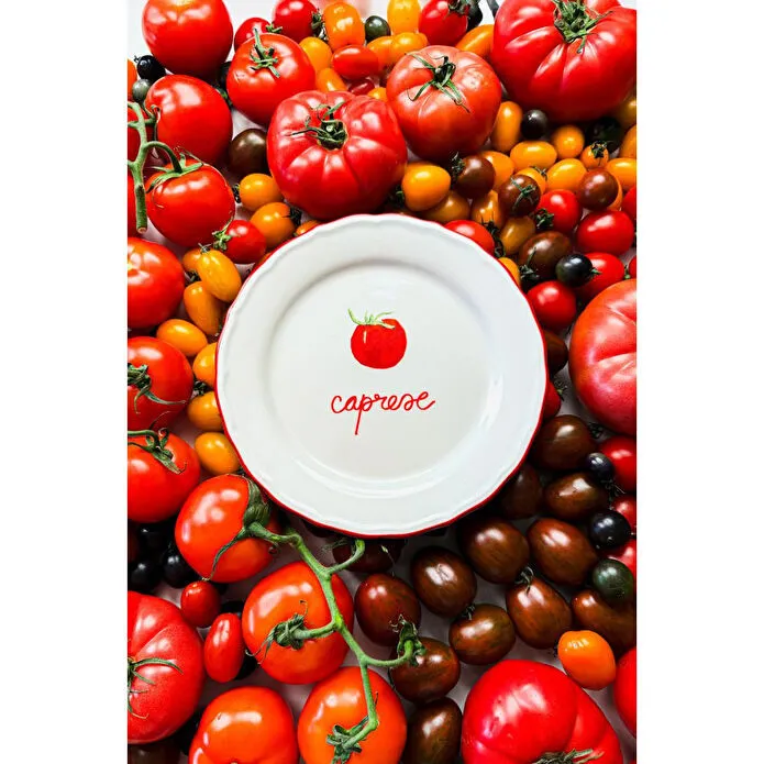 Rakle Pomodoro Stoneware 4'lü Meze Tabağı Seti 21 Cm