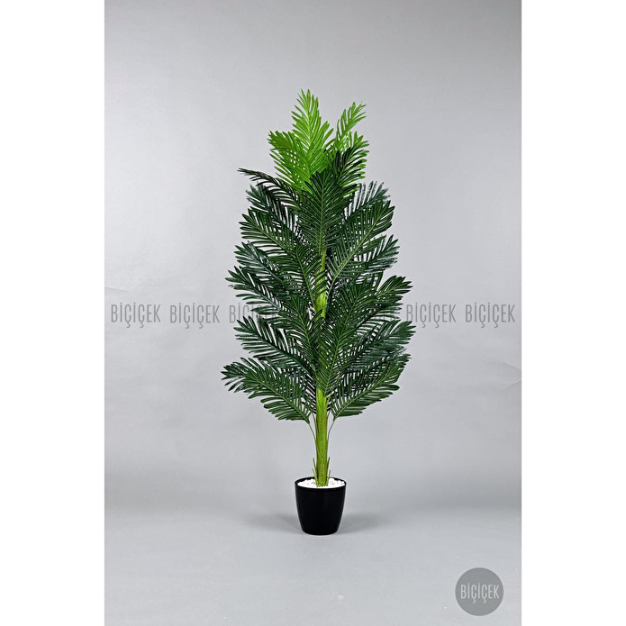 Biçiçek Yapay Areka Ağacı 160-180 Cm Ağaç160cm