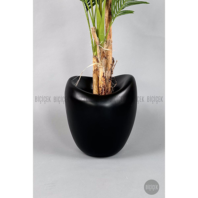 Biçiçek Areka Ağacı 220-240 Cm Siyahfiber1