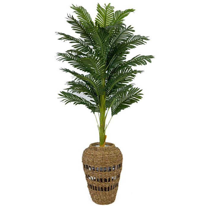 Biçiçek Luxury Areka Palmiyesi 160cm Hasır Saksıda Bohem3