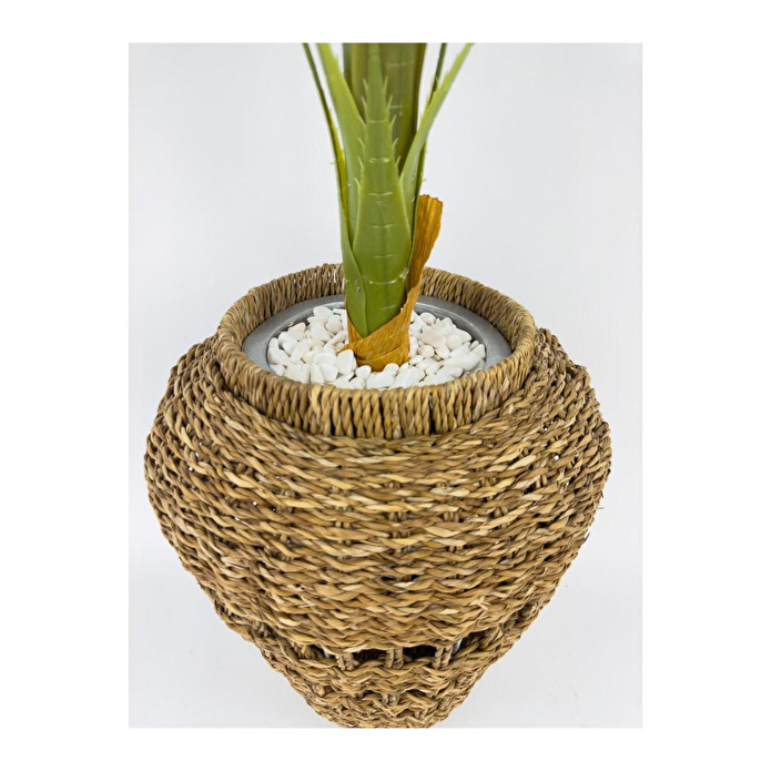 Biçiçek Luxury Areka Palmiyesi 160cm Hasır Saksıda Bohem3