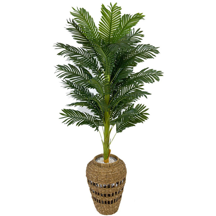 Biçiçek Luxury Areka Palmiyesi 160cm Hasır Saksıda Bohem3