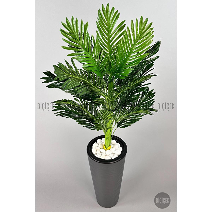 Biçiçek 150cm Areka Ağacı Kumsal Saksıda 2