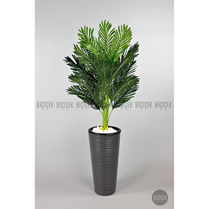 Biçiçek 150cm Areka Ağacı Kumsal Saksıda 2