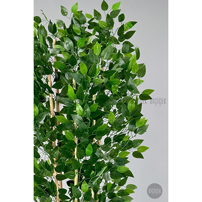 Biçiçek Yapay Bambu Ve Benjamin 6 Dallı Yoğun Yapraklı 220 Cm Siyahbenjami̇n