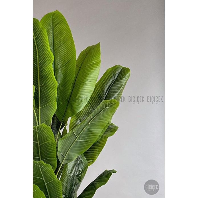 Biçiçek Yapay Ağaç Starliçe Bambu Gövdeli 220cm Büyük Boy Siyah Renk Yakut Saksıda