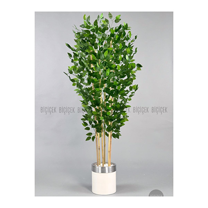 Biçiçek Yapay Benjamin Ağacı 170cm Krem Metal Saksıda Gümüş