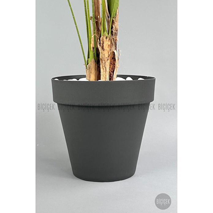 Biçiçek Yapay Areka Ağaci Büyük Boy Palmi̇ye Ağaci 4 Bambu Gövdeli̇ 220cm Antrasi̇t Renk Yali Saksida