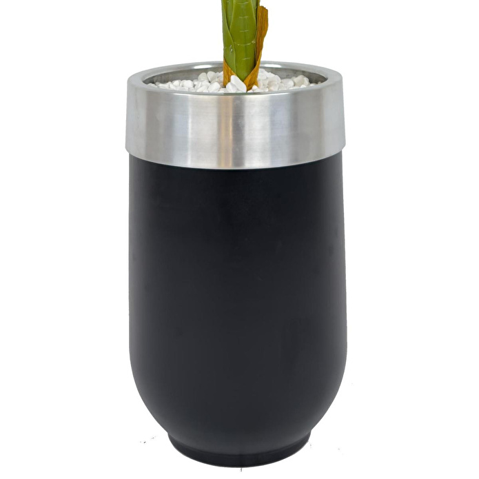 Biçiçek Areka Palmiyesi 170cm Metal Siyah Gümüş Darbuka Saksıda