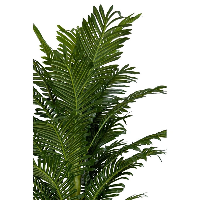 Biçiçek Areka Palmiyesi 170cm Metal Siyah Gümüş Darbuka Saksıda