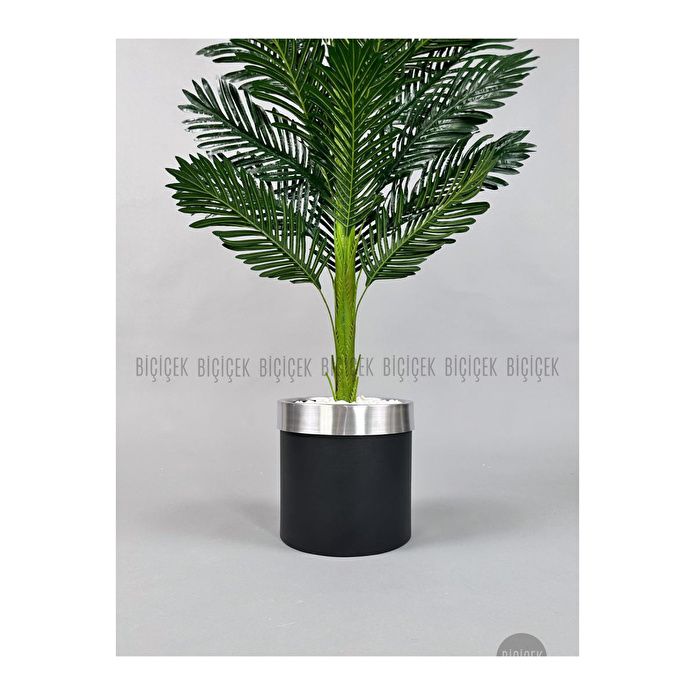 Biçiçek Areka Palmiyesi 150cm Metal Siyah Gümüş Saksıda