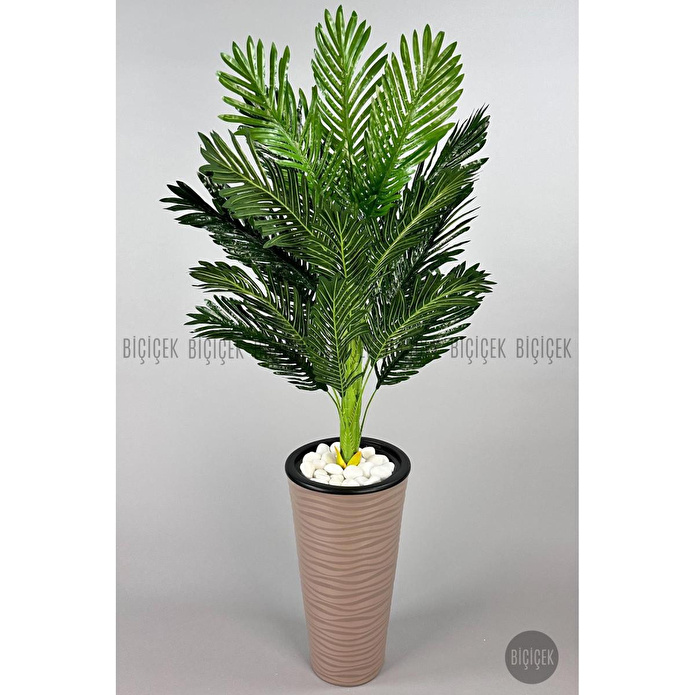 Biçiçek 150cm Areka Ağacı Kumsal Saksıda 3
