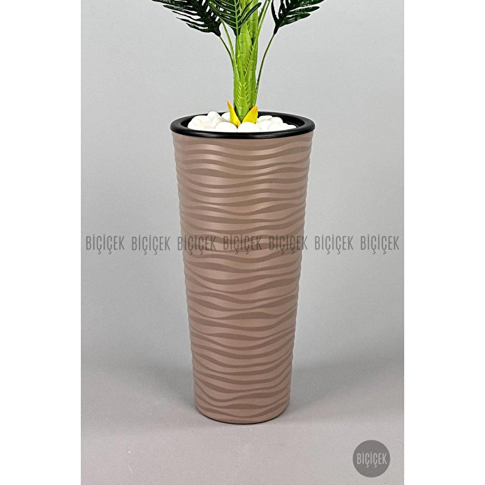 Biçiçek 150cm Areka Ağacı Kumsal Saksıda 3