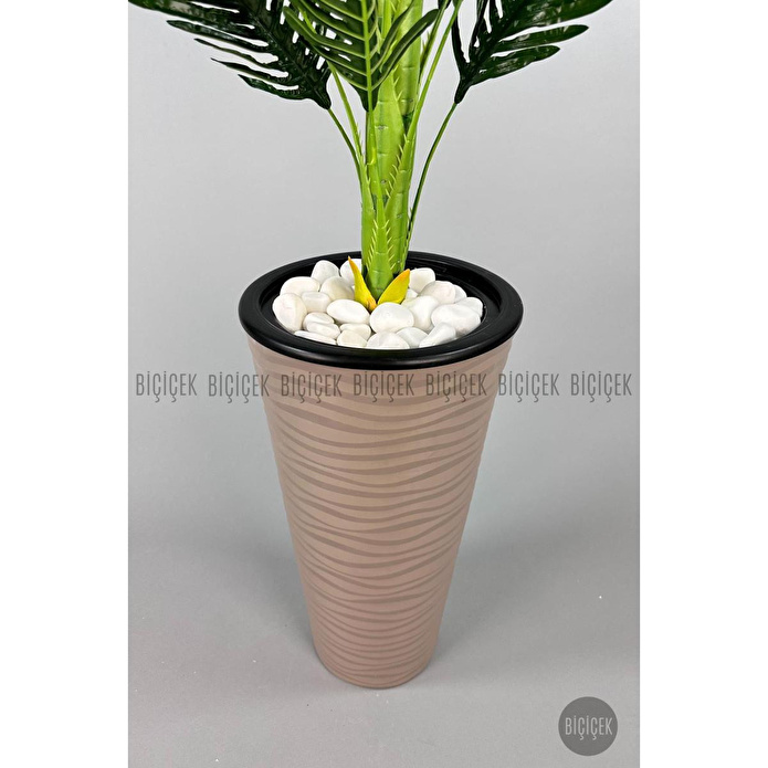 Biçiçek 150cm Areka Ağacı Kumsal Saksıda 3