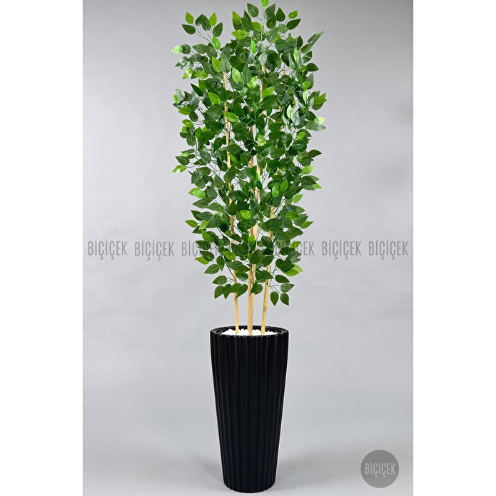 Biçiçek Yapay Bambu Ve Benjamin 4 Dal Yoğun Yapraklı 180 Cm Siyahbenjamin