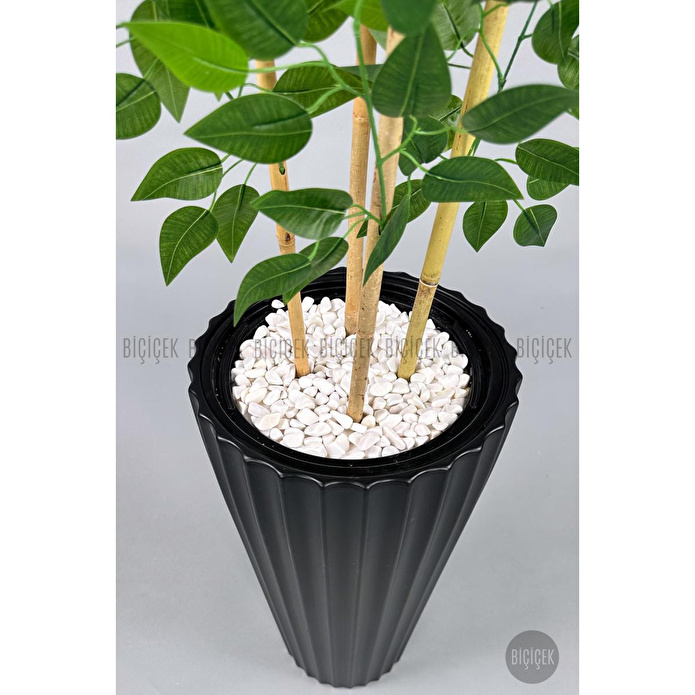 Biçiçek Yapay Bambu Ve Benjamin 4 Dal Yoğun Yapraklı 180 Cm Siyahbenjamin