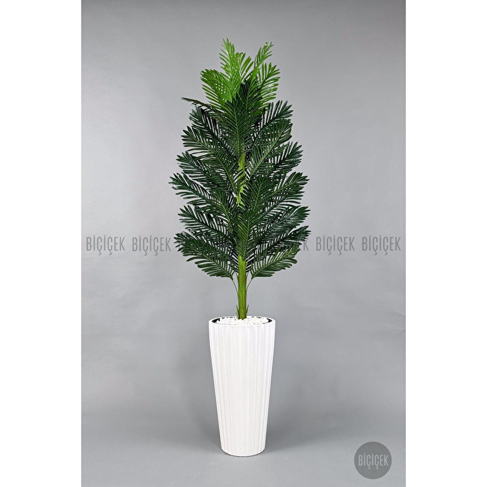Biçiçek Yapay Areka Ağacı 220 Cm Beyaz