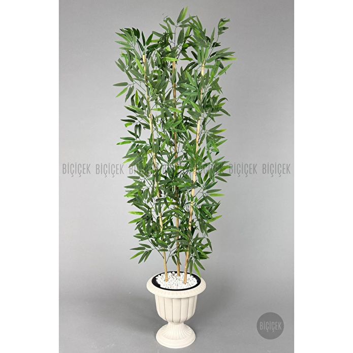 Biçiçek Yapay Bambu Ağacı 170cm Yoğun Yapraklı Kırık Beyaz Renk Nergis Saksıda