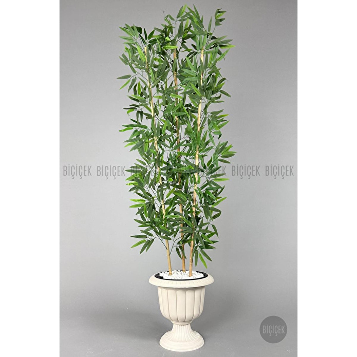 Biçiçek Yapay Bambu Ağacı 170cm Yoğun Yapraklı Kırık Beyaz Renk Nergis Saksıda
