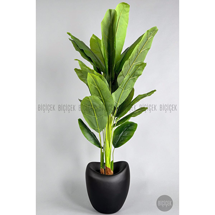 Biçiçek Yapay Muz Ağacı 185-220 Cm Siyah