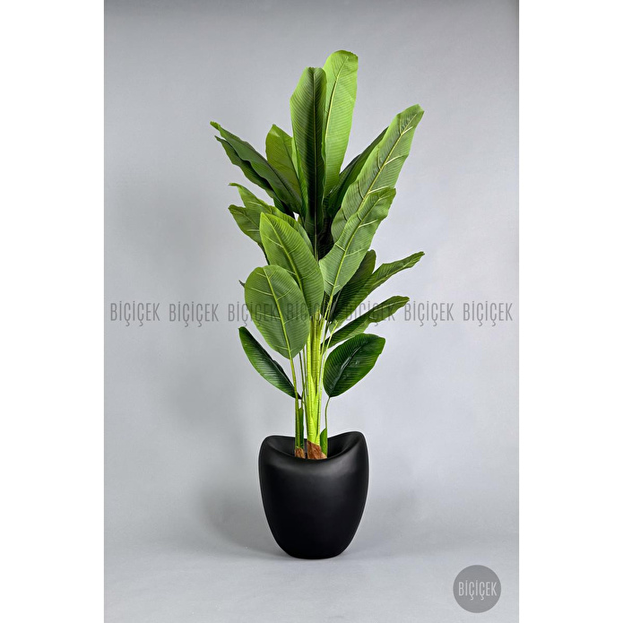 Biçiçek Yapay Muz Ağacı 185-220 Cm Siyah