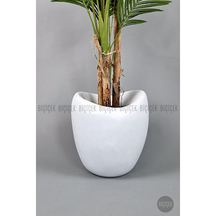 Biçiçek Areka Ağacı 220-240 Cm Beyazfiber1