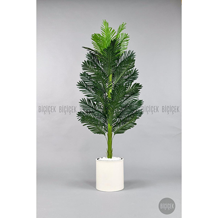 Biçiçek Yapay Areka Ağacı 160-180 Cm Kremdüz170cm
