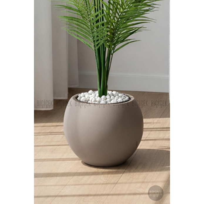 Biçiçek Areka Ağaci 24 Yaprakli 130 Cm Küre Saksida Kahverengi